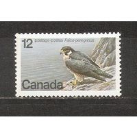 ФФ2 Канада 1978 Сокол
