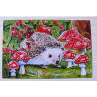 Современная открытка; Бессонова Олеся, Ёжик и мухоморы; чистая.