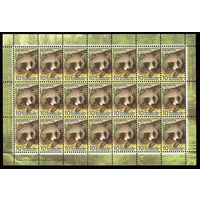 Беларусь. 2008. Стандарт. Енотовидная собака (10р) (з.29-2009) Лист