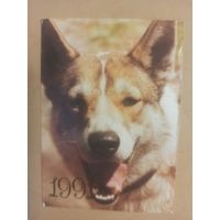 Календарь 1991 Лайка
