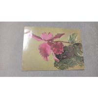 Цветы, 1961, издательство Минсвязи СССР. чистая, маркированная.