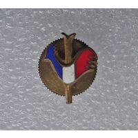 Значок  Лыжный спорт (Федерация Франции)