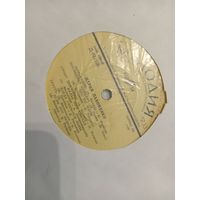 Виниловая пластинка