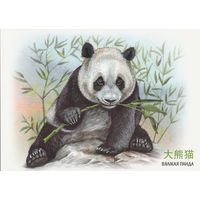 Беларусь 2024 Большая панда (худ. Митянин) (к5)