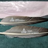 Старт с 1 Рубля !!! Перо-ручка Пушкинское перо Санкт-Петербург Стихи Не использовались !!!