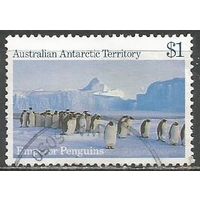 Австралийская Антарктика. Королевские пингвины. 1984г. Mi#72.