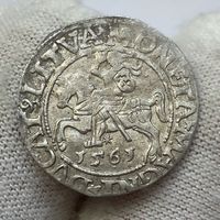 Паўгрош / полугрош 1561 г. (3). Блеск, состояние, патина!