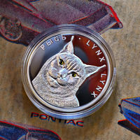 Монета Рысь 20 рублей, серебро Беларусь 2008