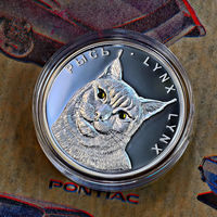 Монета Рысь 20 рублей, серебро Беларусь 2008