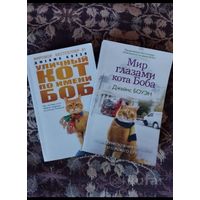 Кот по имени Боб, Мир глазами кота Боба. Джеймс Боуэн