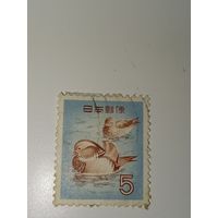 Япония 1955 год утки
