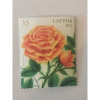 Цветы - Розы