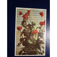 Поздравляю!  Розы.  1970 г.  подписанная.