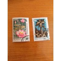 1966 СССР флора цветы MNH**(сф-9)