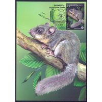 Беларусь 2021 Картмаксимумы фауна