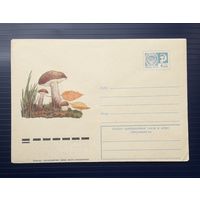 СССР 1975 ХМК худ.Куприянов. Подберезовик(2).