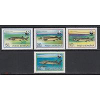 Осетровые Рыбы WWF Фауна моря 1994 Румыния MNH полная серия 4 м зуб