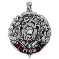 ВВ МВД. Отряд специального назначения "Гром"