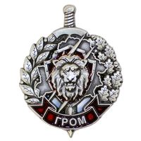 ВВ МВД. Отряд специального назначения "Гром"