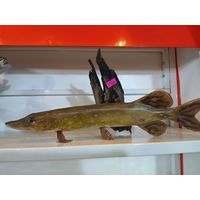 Чучело Щука