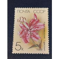 СССР 1989г. Лилия прекрасная
