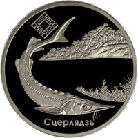 Стерлядь. 2007 год. 1 рубль. С 1 рубля без минимальной цены.