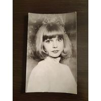 Артисты,шиманская