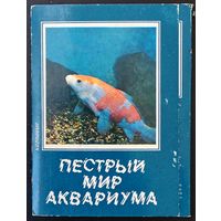 Комплект из 18 открыток (полный) Пестрый мир аквариума Карповые 1986 Выпуск 5