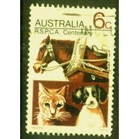Австралия - 1971 [Mi. 468] Гашеная (AU11)