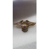 76 гв. ВДД Россия*