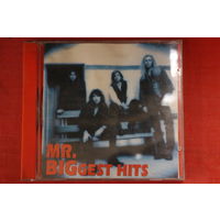 Mr. Big - Biggest Hits (CD)