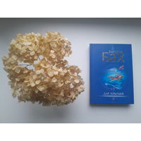 Ричард Бах "Дар крыльев"