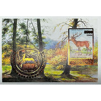 Разновидность почтовой марки "V Национальная филателистическая выставка "Белфила-2006"