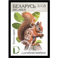Беларусь 2025г 18-й стандартный выпуск. Звычайная вавёрка (самокл. )MNH