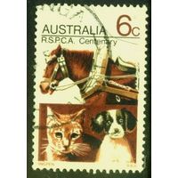 Австралия - 1971 [Mi. 468] Гашеная (AU11)
