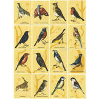 Спичечные этикетки. Сувенирный набор. Певчие птицы.