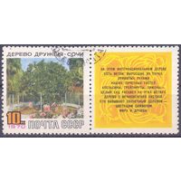 СССР 1970 Сочи дерево Дружбы