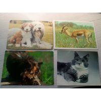 Календарики одним лотом