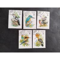 Венгрия  1980  5 м     птицы