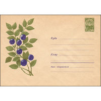 Художественный маркированный конверт СССР  N 3292 (31.07.1964) Рисунок ягод черники