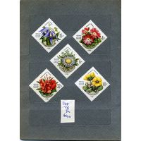 СССР, 1981, Цветы УКРАИНСКИХ КАРПАТ, серия  5м  чистая
