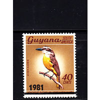 Фауна. Птица. Гайана. 1981. 1 марка. Michel N 634  (14.0 е)