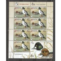 ФФ1 Беларусь 2016 Гоголь