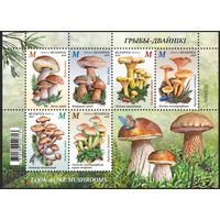 Грибы-двойники. Малый лист, 2024