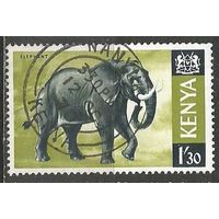 Кения. Африканский слон. 1966г. Mi#29.