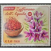 Италия 2008. Флора. Цветы. Шафран
