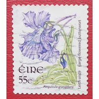Ирландия, 2004 г., цветы