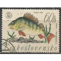 Чехословакия. Речной окунь. 1966г. Mi#1610.