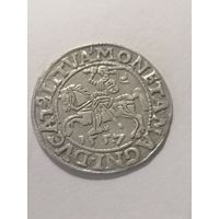 Полугрош  1557г.