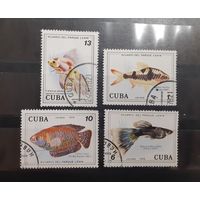 Куба. 1978 год. Фауна. Рыбы (30)